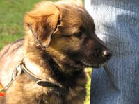 2009_01_30 bella_007